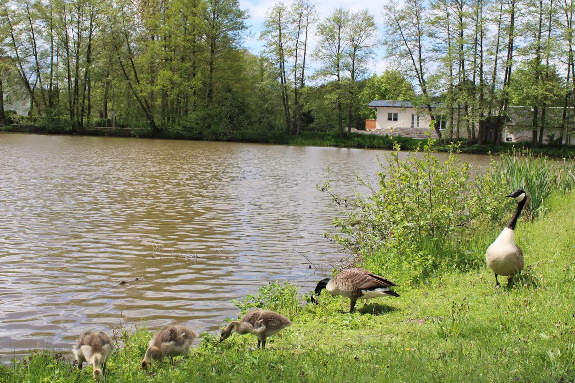 Ferienhaus Am Muehlteich Apartman Lindenberg  Kültér fotó